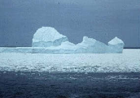 Iceburgs